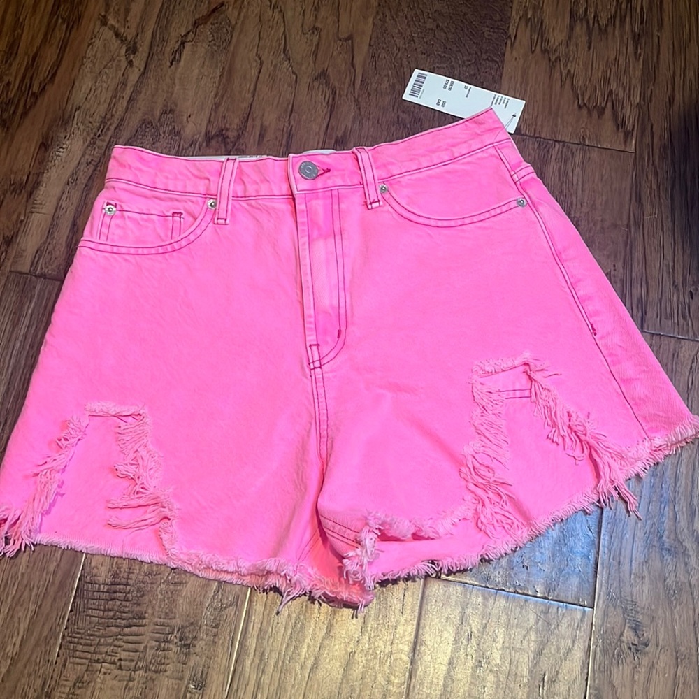 NEW BDG | Urban Outfitters Neon Pink A-Line Short size 27